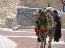 Мёртвое море